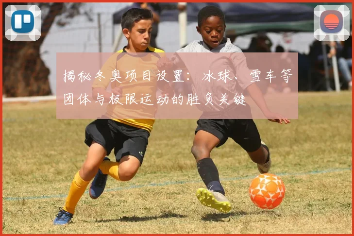 揭秘冬奥项目设置：冰球、雪车等团体与极限运动的胜负关键